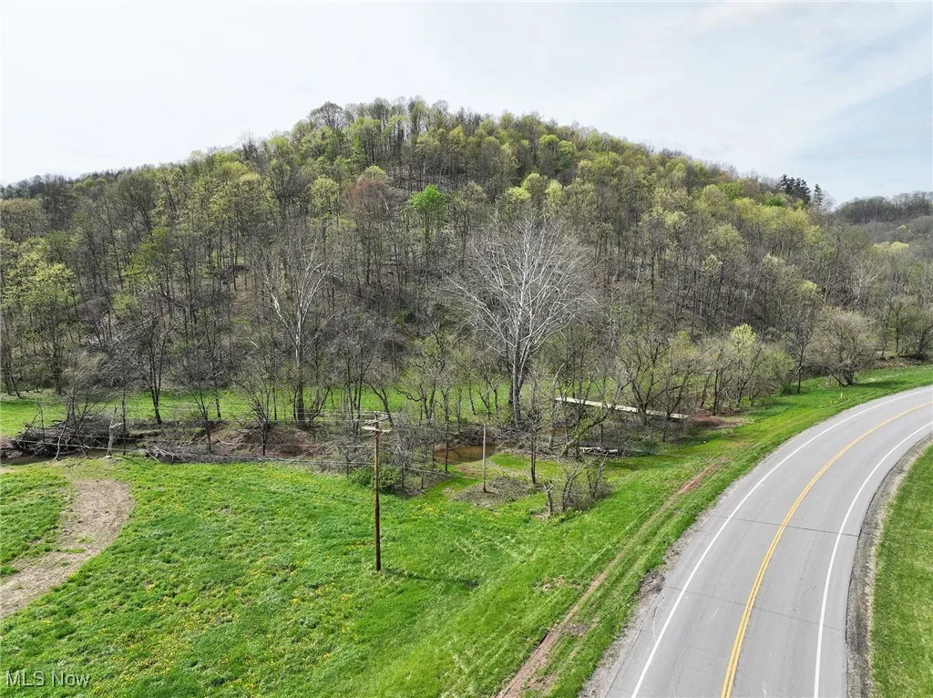 View of road with a forest view