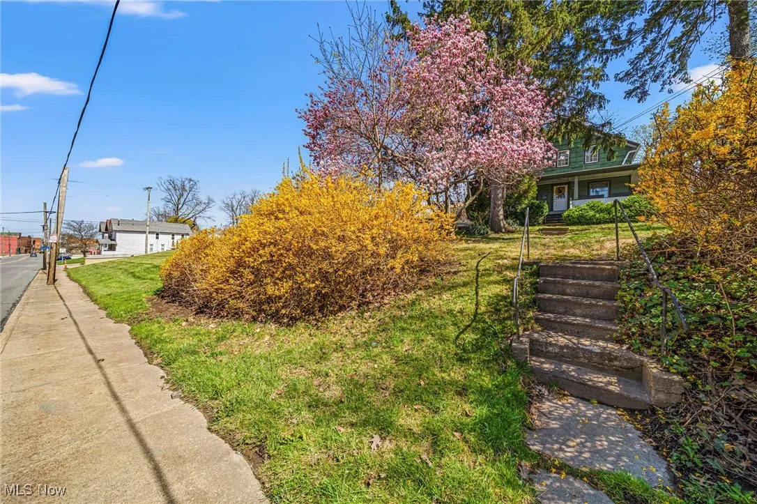 1420 Bridge Street, Ashtabula, Ohio,MLS Now Listing ID