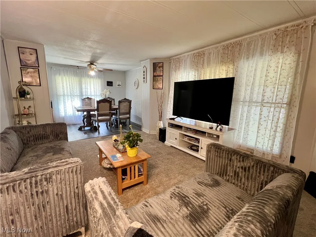 7219 Birchview Drive # 19, Ravenna, Ohio 44266,MLS Now Listing ID