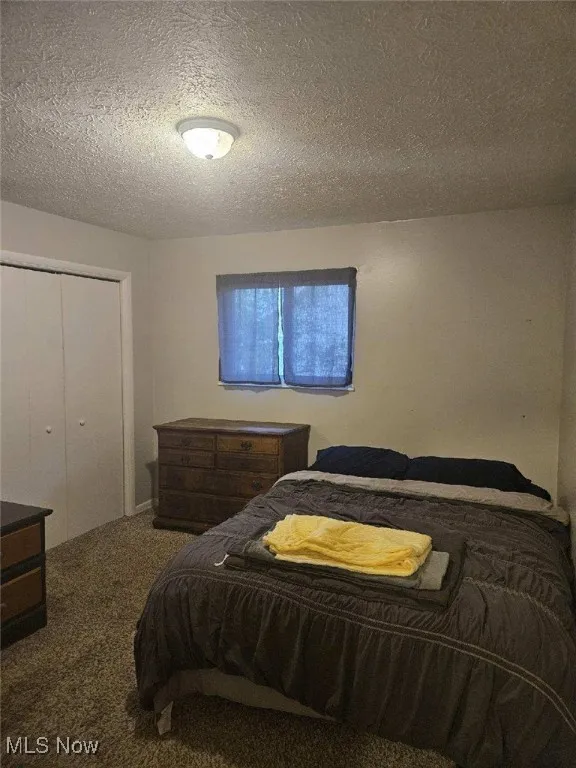 Bedroom with carpet flooring, a textured ceiling, and a closet