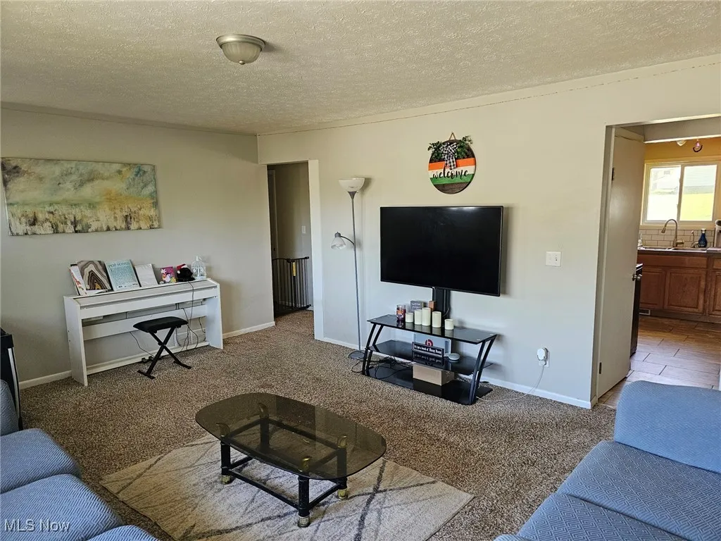 Living room featuring carpet floors, a textured ceiling, and baseboards