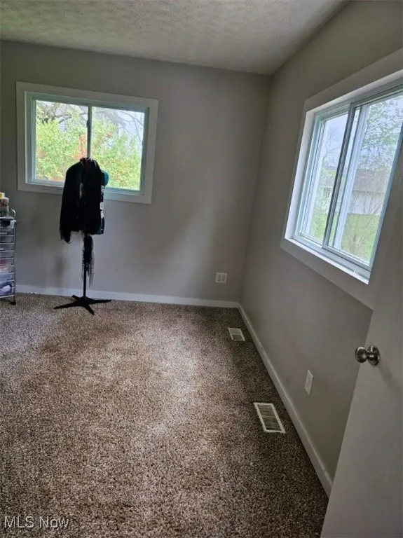 Carpeted spare room featuring a textured ceiling, visible vents, and plenty of natural light