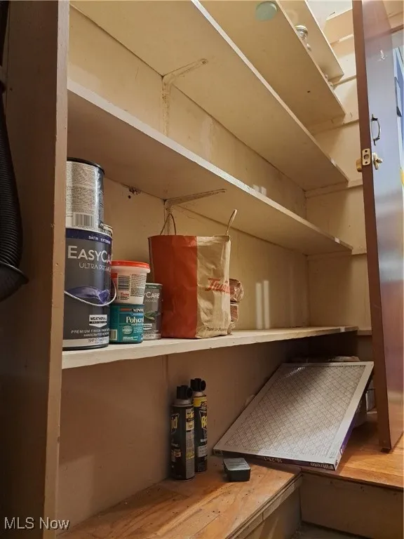 View of pantry along basement stairs off of kitchen