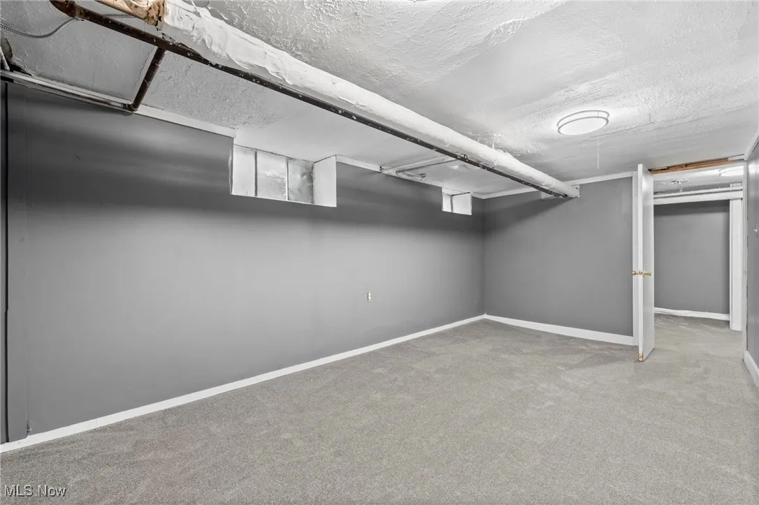 Basement featuring carpet floors
