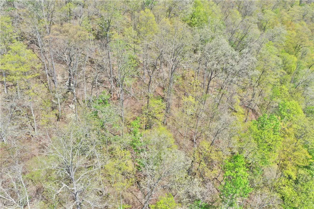 7568 W Little Kanawha Highway, Big Bend, West Virginia,MLS Now Listing ID