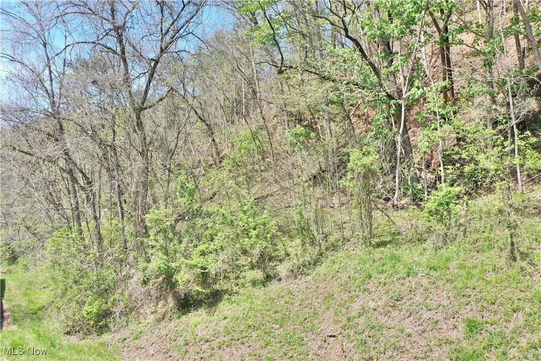 7568 W Little Kanawha Highway, Big Bend, West Virginia,MLS Now Listing ID