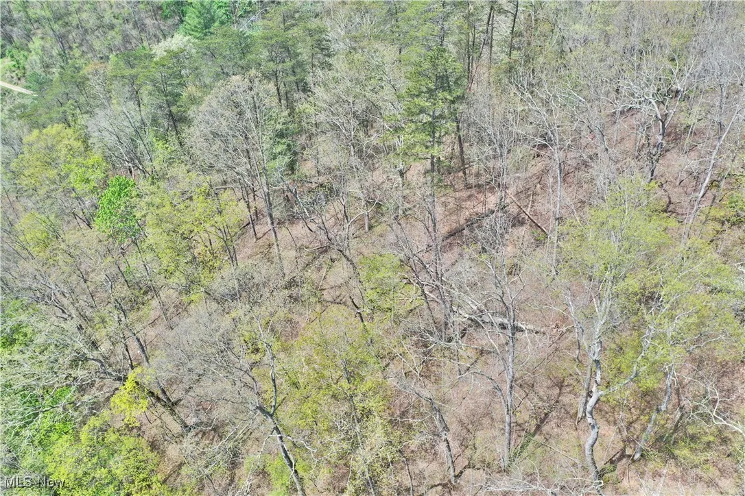 7568 W Little Kanawha Highway, Big Bend, West Virginia,MLS Now Listing ID