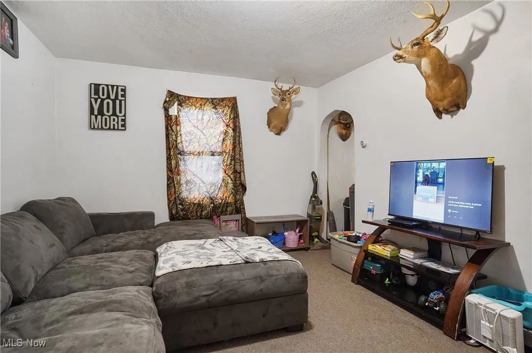 Living area with a textured ceiling, carpet flooring, and arched walkways