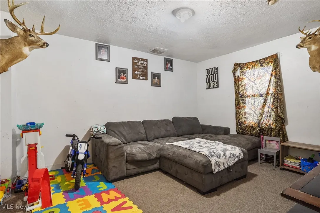 Living area featuring a textured ceiling, visible vents, and carpet