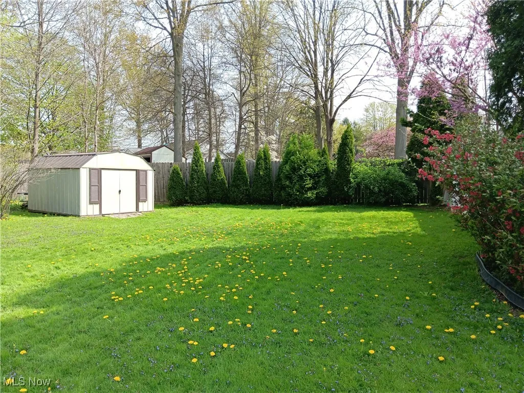 View of yard with fence, an outbuilding, and a storage unit