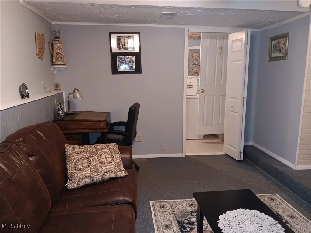 Living area with crown molding, carpet flooring, baseboards, and a textured ceiling