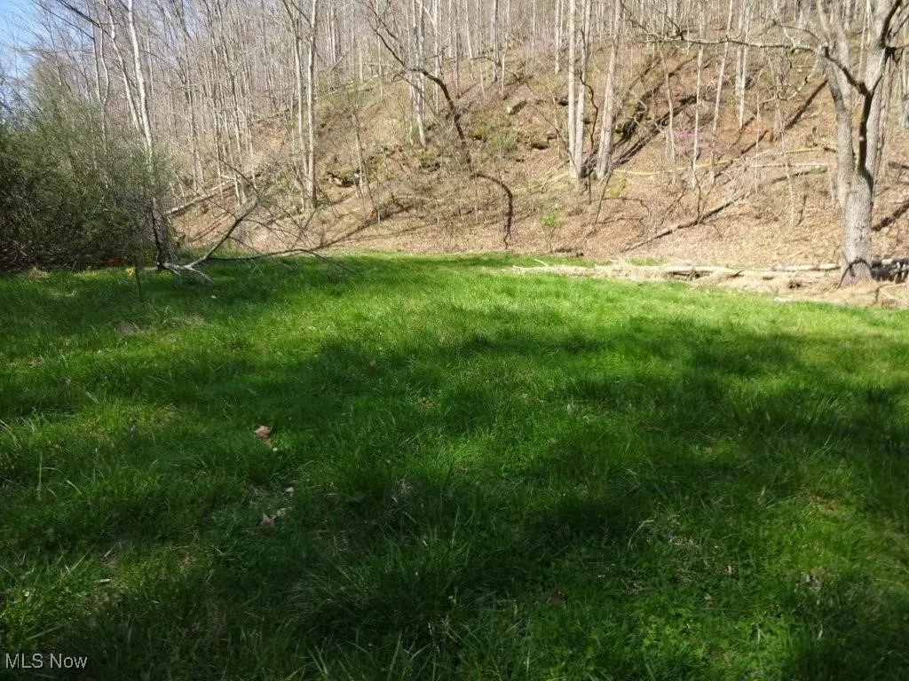 1273 Otto Road, Spencer, West Virginia 25276,MLS Now Listing ID