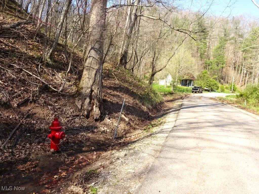 1273 Otto Road, Spencer, West Virginia 25276,MLS Now Listing ID