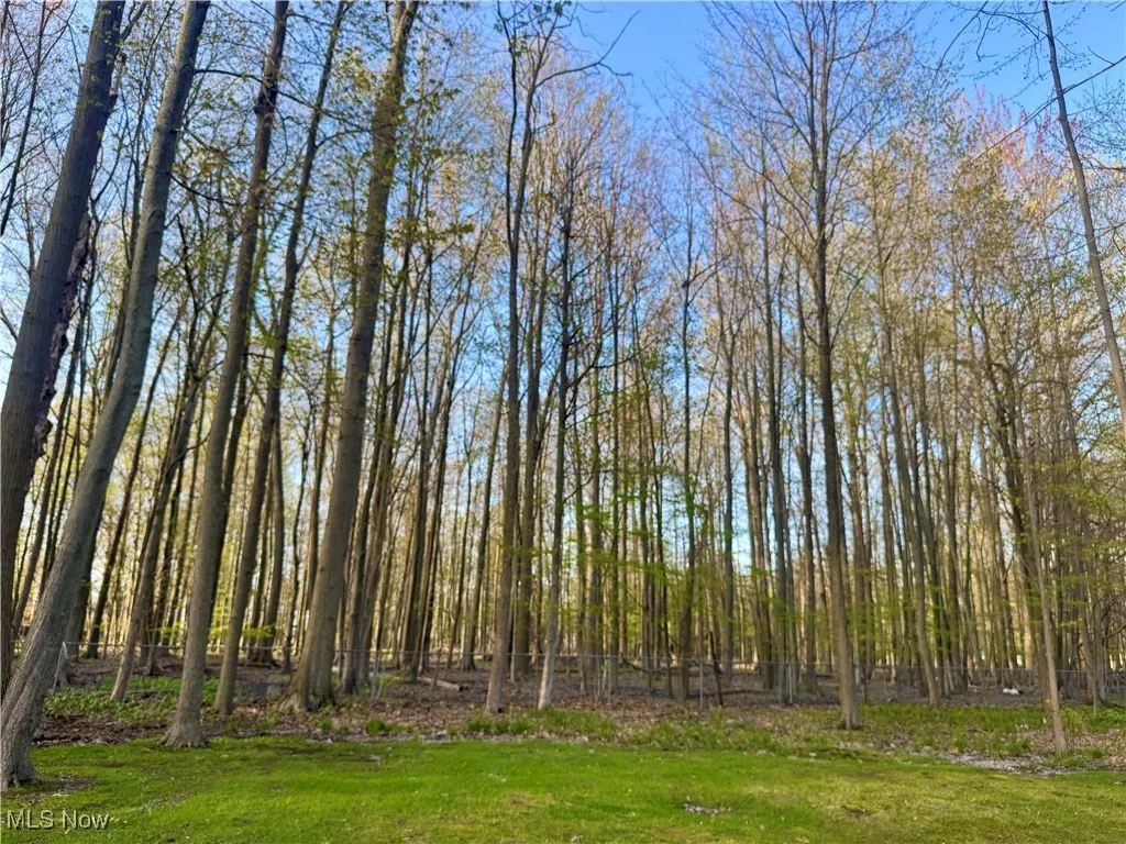 5141 University Drive, Geneva On The Lake, Ohio,MLS Now Listing ID