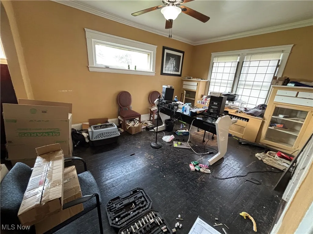 Home office with crown molding, a ceiling fan, and a wealth of natural light