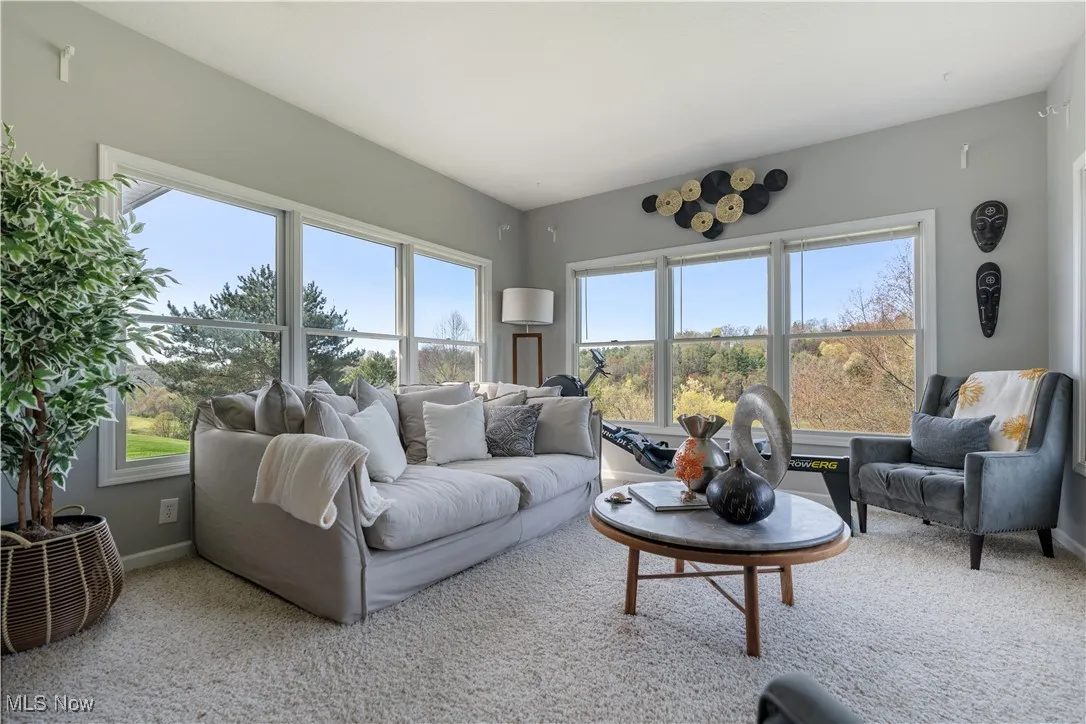 Living room featuring baseboards, a healthy amount of sunlight, and carpet