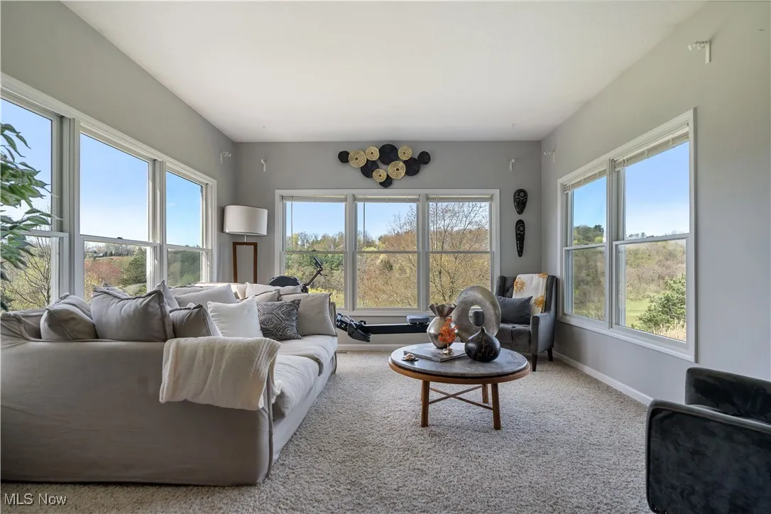 Carpeted living room with baseboards
