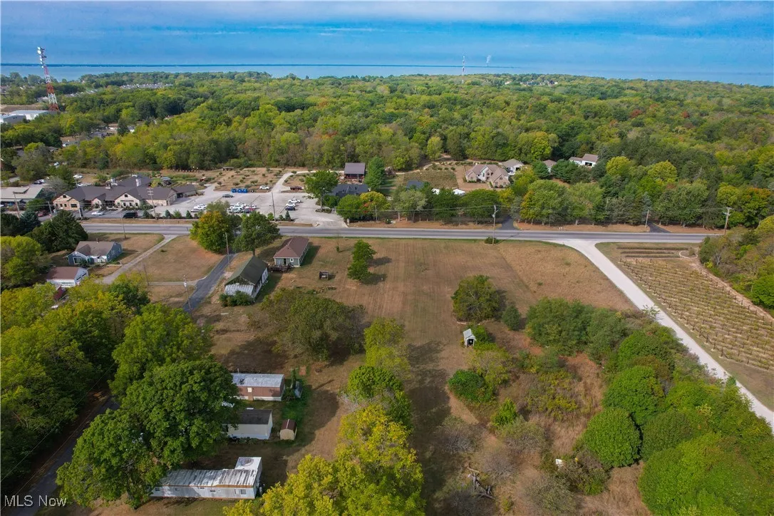 Drone / aerial view with a forest view