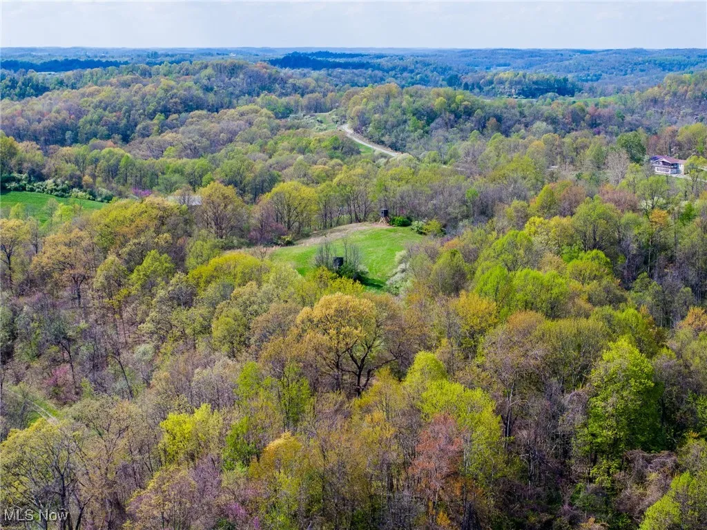 Bird's eye view with a view of trees