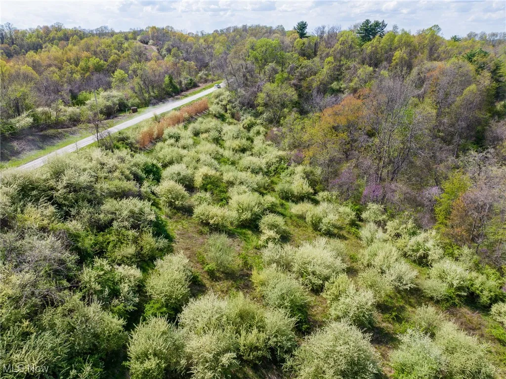 Aerial view featuring a wooded view