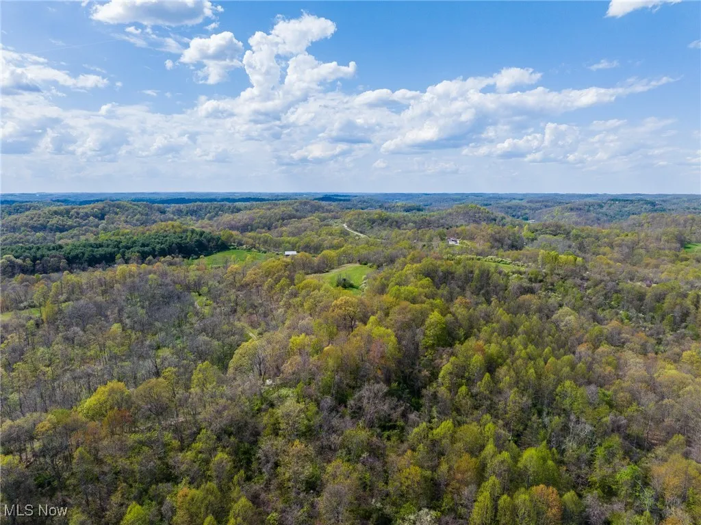 Drone / aerial view featuring a forest view