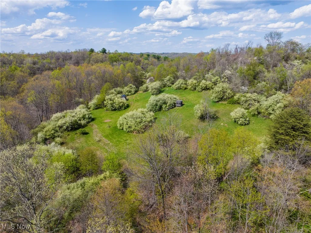 Drone / aerial view with a forest view