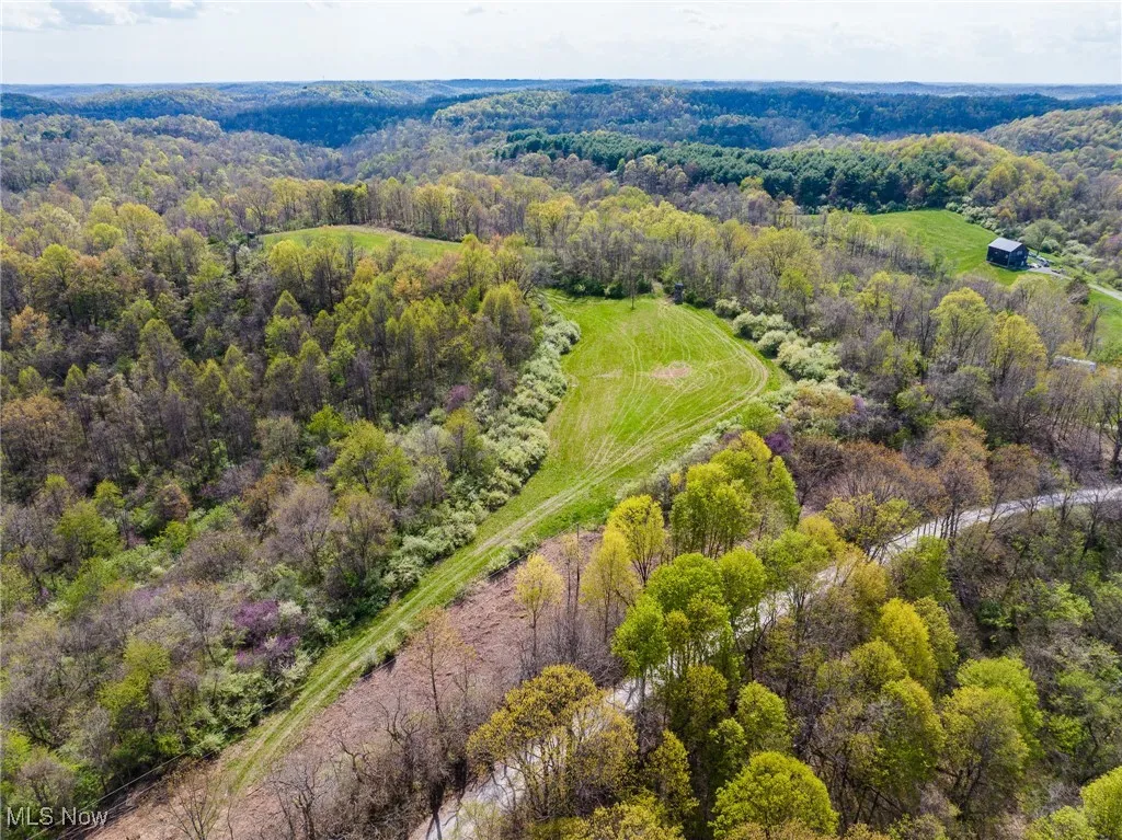 Aerial view featuring a wooded view