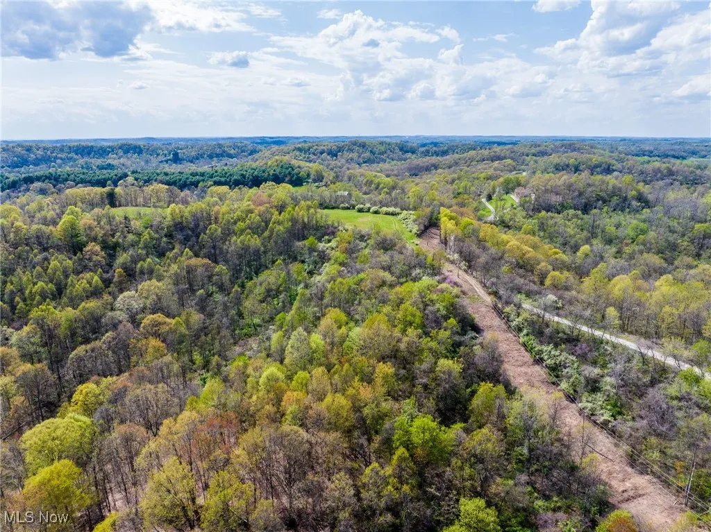 Bird's eye view featuring a wooded view
