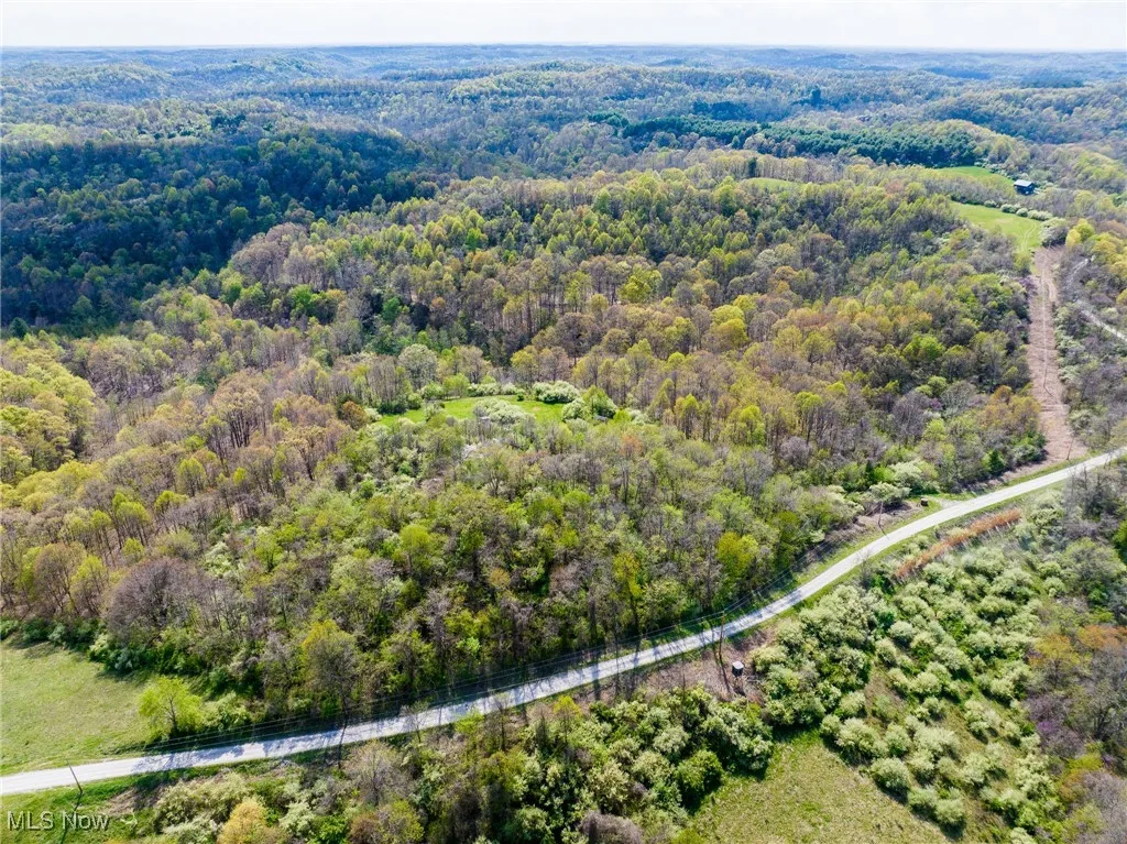 Birds eye view of property with a view of trees