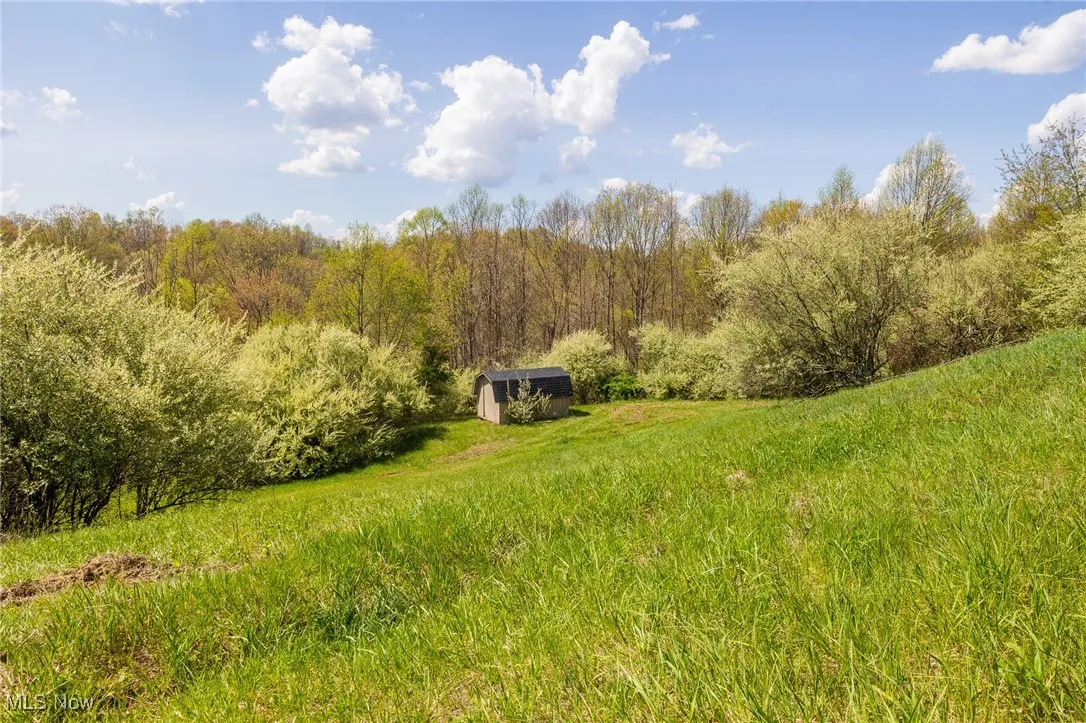 View of yard featuring an outdoor structure, a wooded view, and a shed