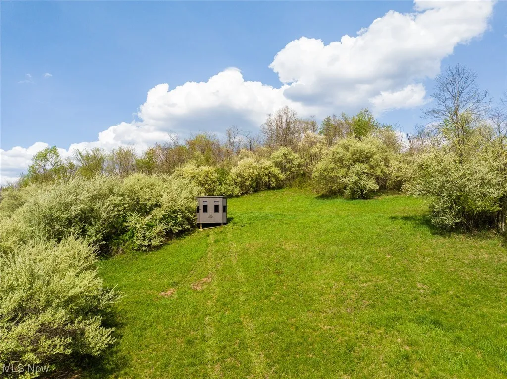 View of yard with an outdoor structure