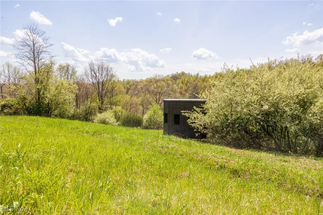 View of yard featuring an outbuilding