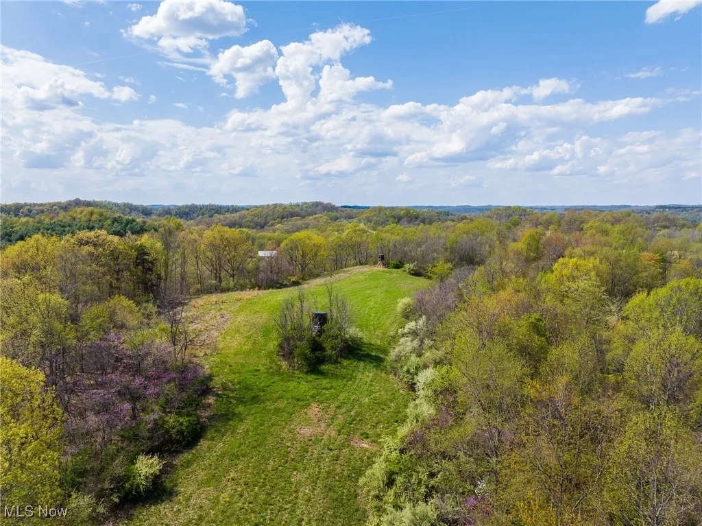 Drone / aerial view featuring a forest view