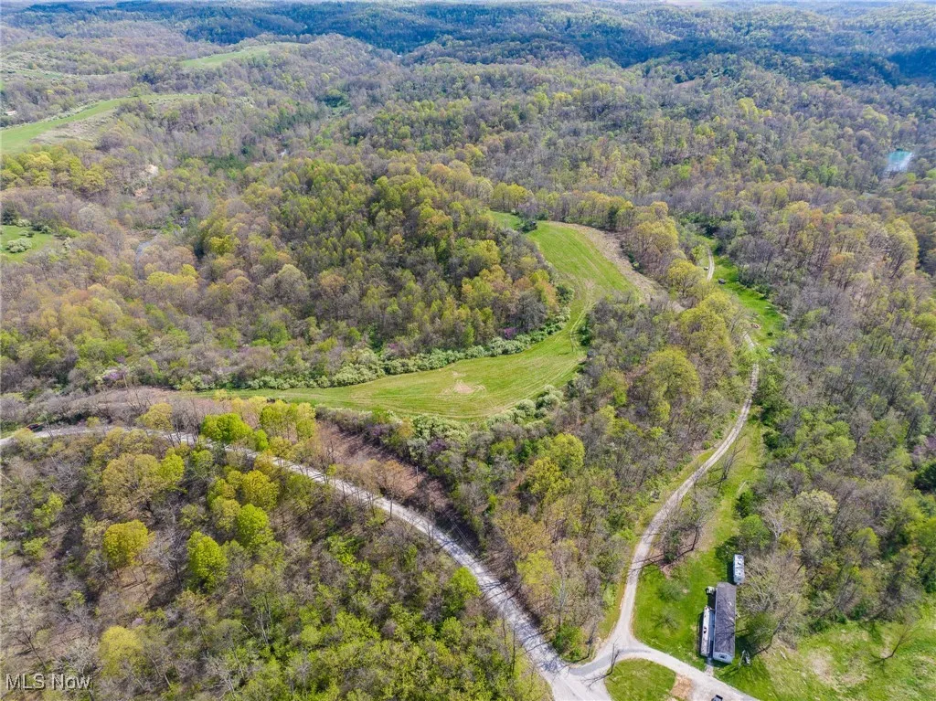 Bird's eye view with a forest view