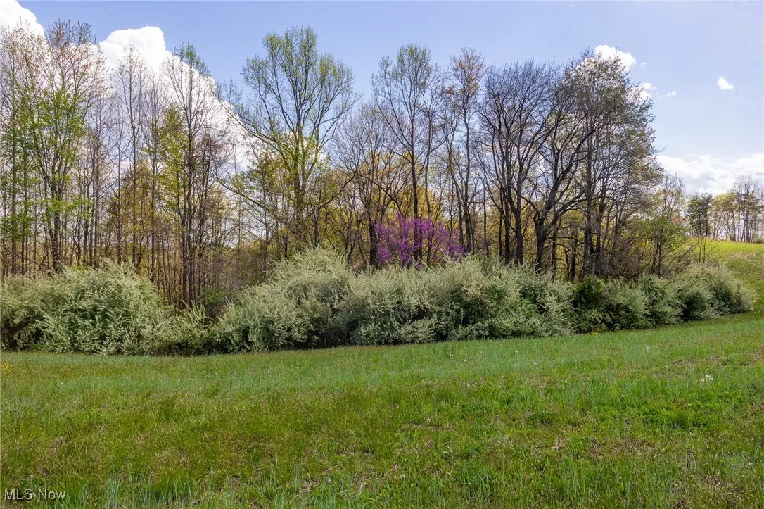 View of landscape