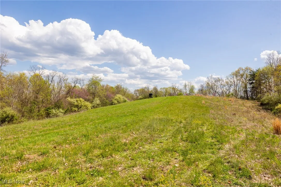 View of local wilderness