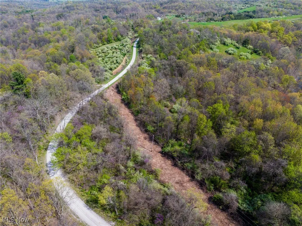Aerial view with a view of trees