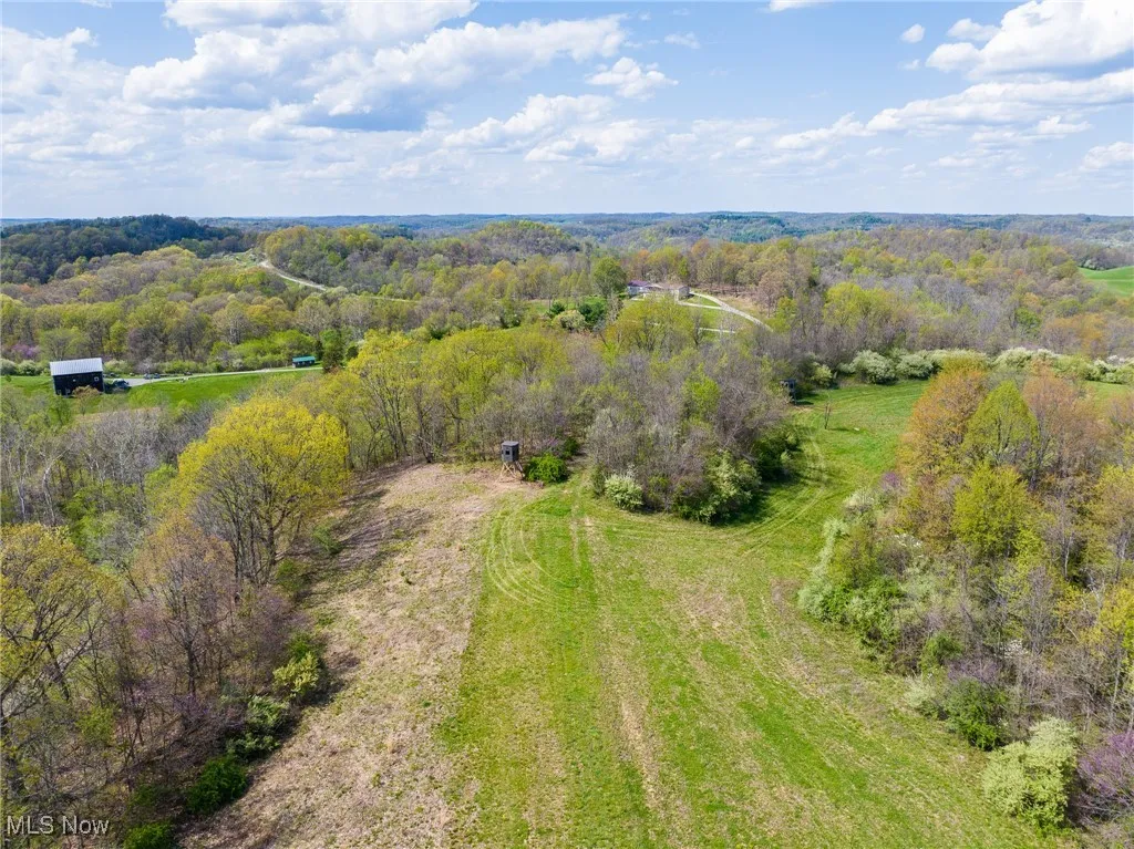 Drone / aerial view with a rural view and a forest view