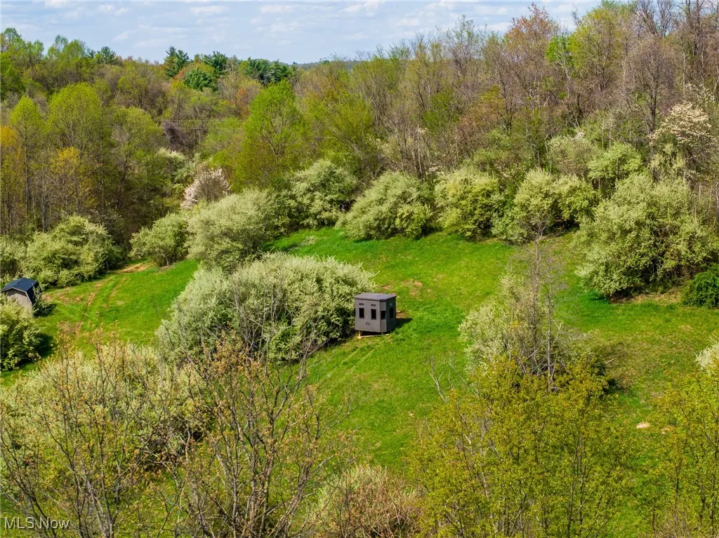 Bird's eye view with a wooded view