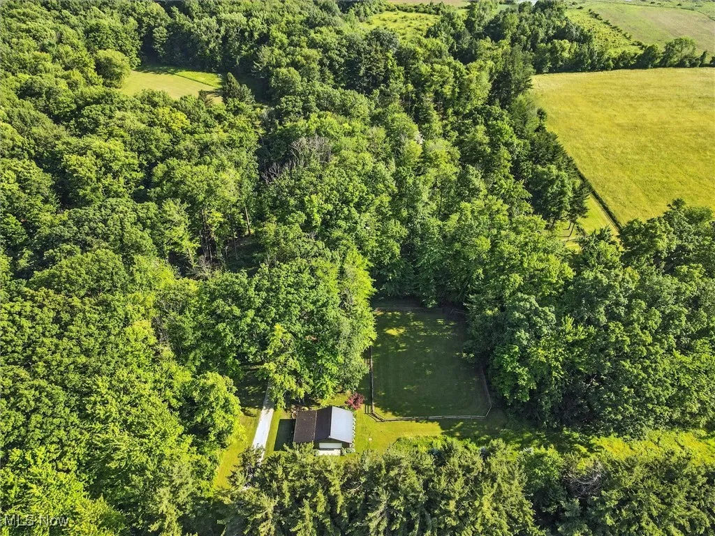 16165 Thompson Road, Thompson, Ohio 44086,MLS Now Listing ID