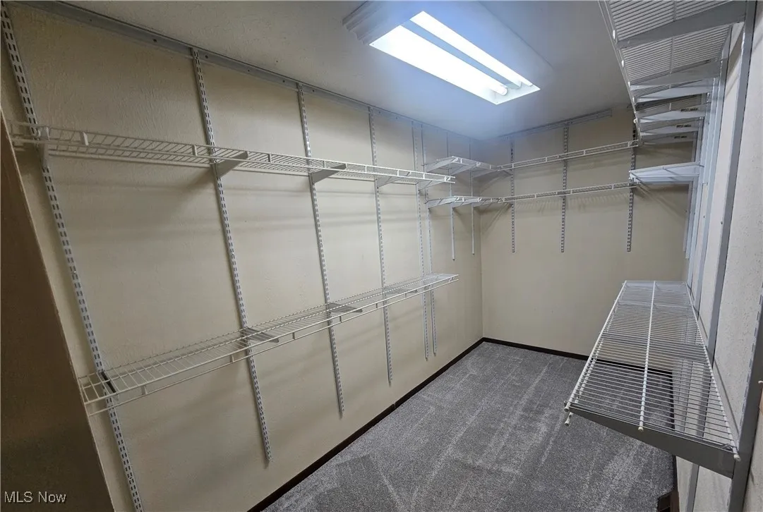 Walk in closet featuring carpet floors