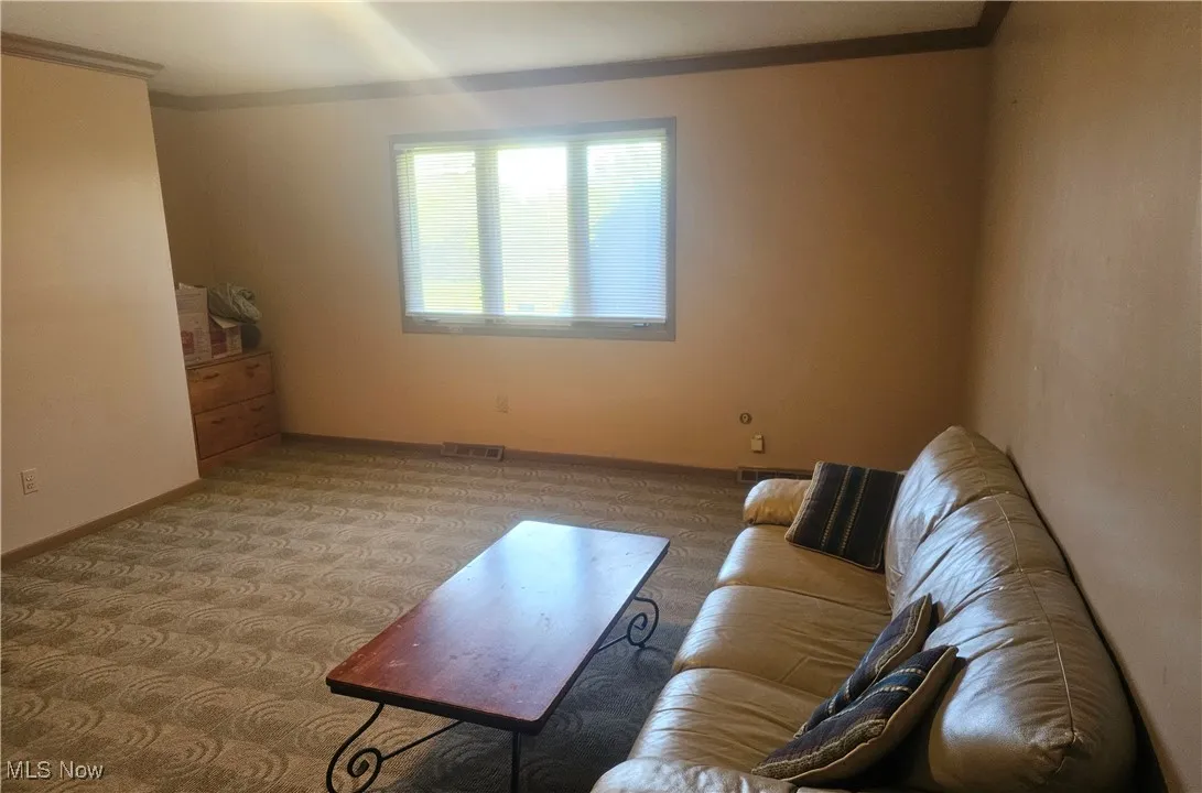 Living room featuring visible vents, ornamental molding, baseboards, and carpet floors