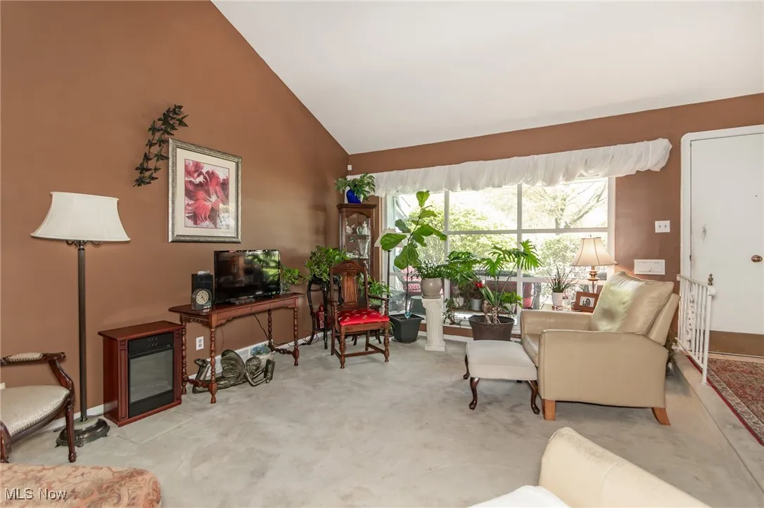 Living room featuring high vaulted ceiling and carpet