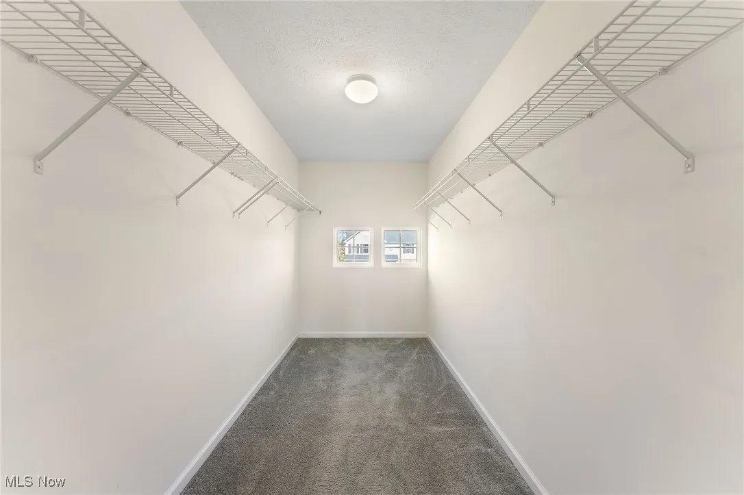 Master Spacious closet with carpet flooring