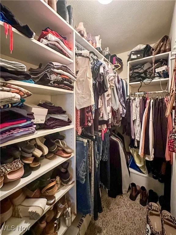 One of two closets in the primary