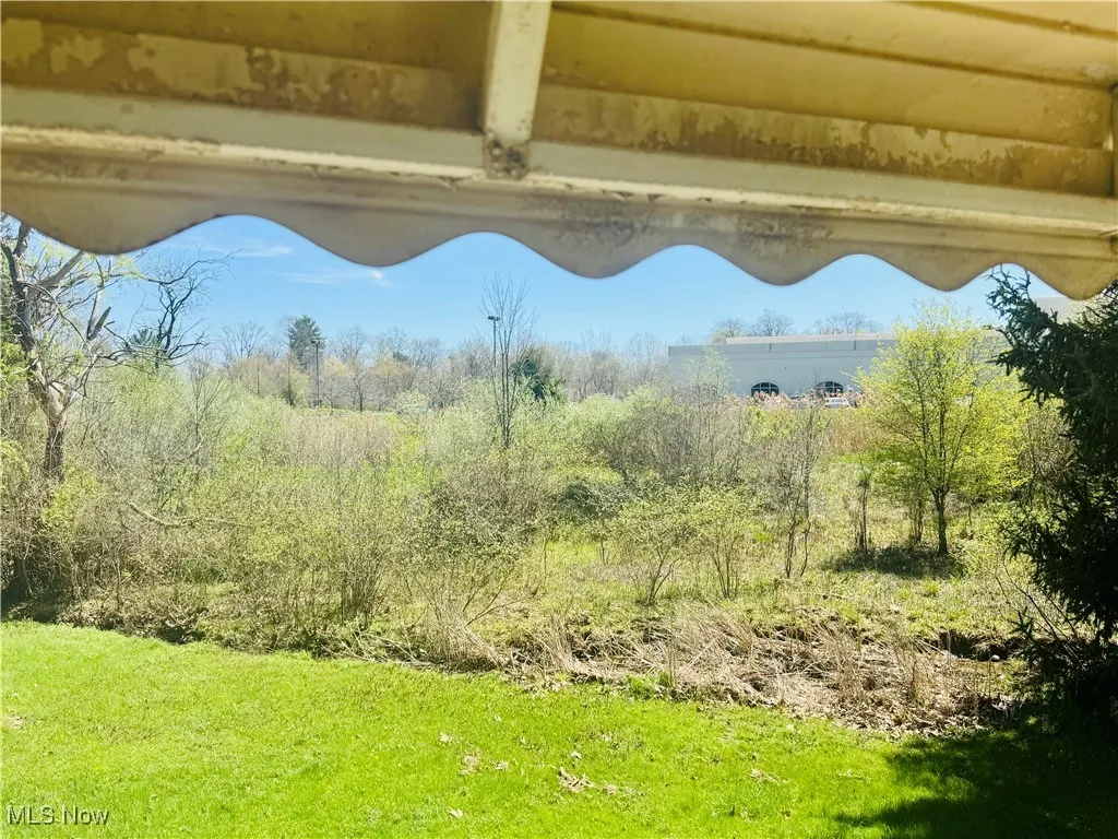 View from Sunporch off Kitchen