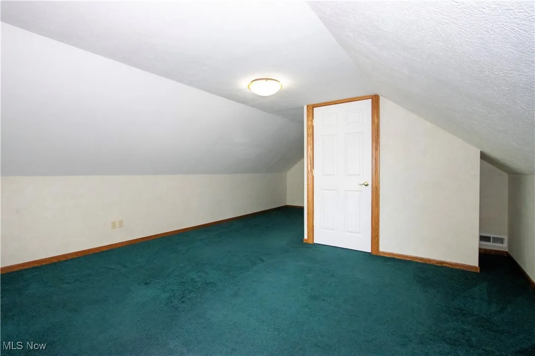 Bonus room with vaulted ceiling and carpet floors