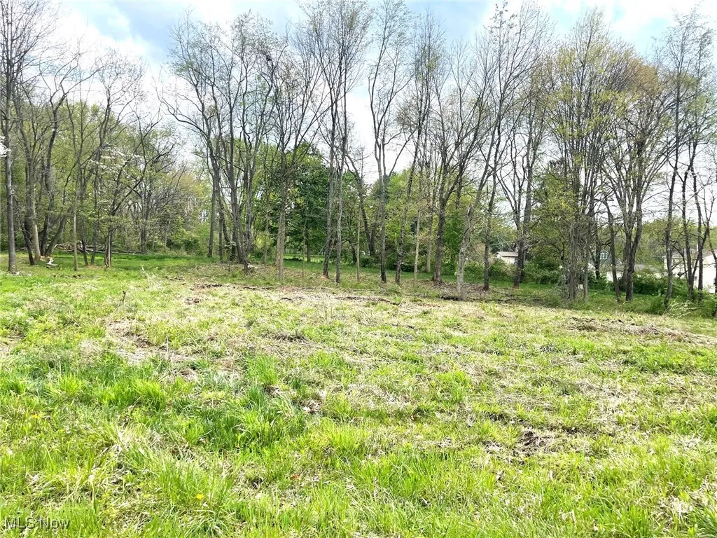 Lot #22 Forest Avenue, Massillon, Ohio 44646,MLS Now Listing ID
