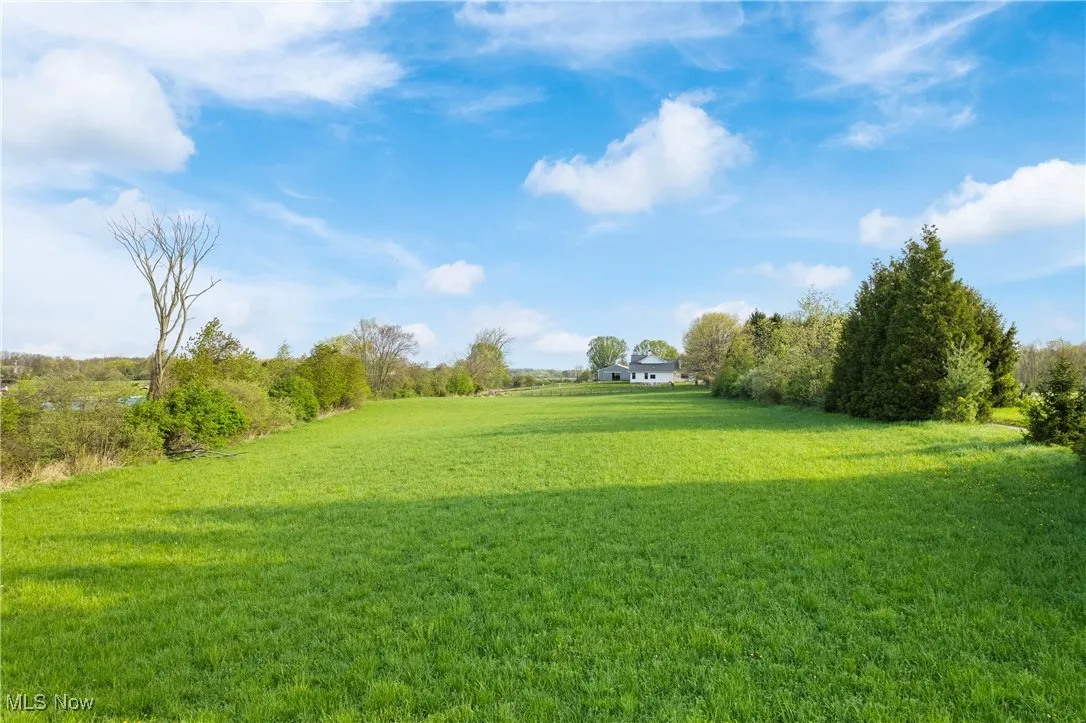 Pasture/yard