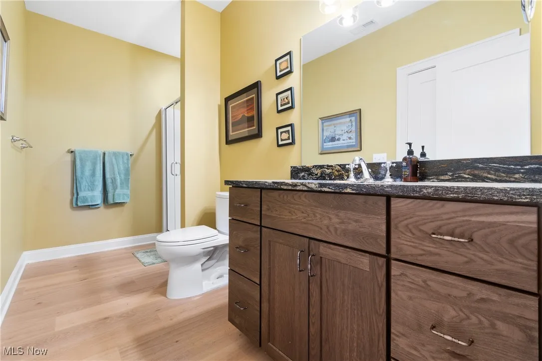 Lower level bathroom